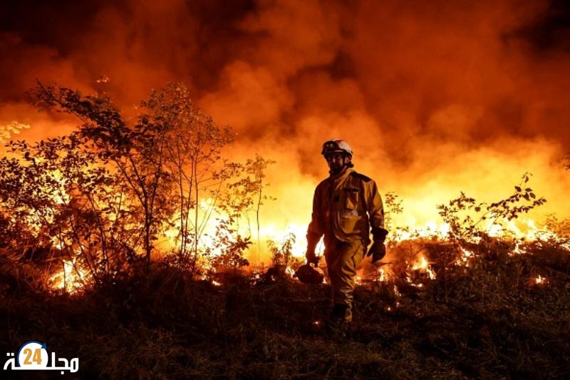 البرتغال.. اعتقال 72 شخصا بتهمة إشعال الحرائق في الصيف الماضي