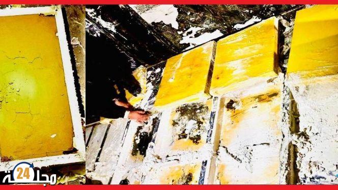 إحباط تهريب 493 كلغ من الحشيش بميناء طنجة المتوسط