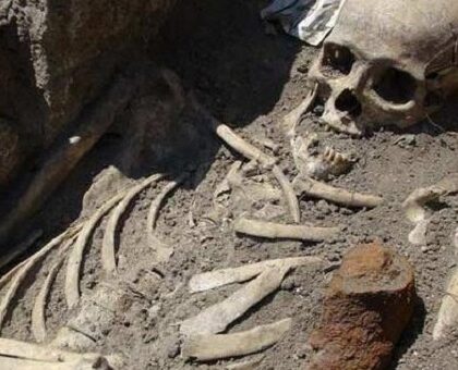 جماجم بشرية ملقاة بالشارع تستنفر الدرك