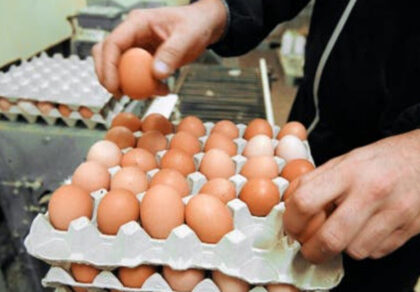 “خليه يخناز”.. حملة لمقاطعة شراء البيض