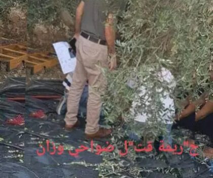 جريمة قتل مروعة ضواحي وزان على غلة الزيتون