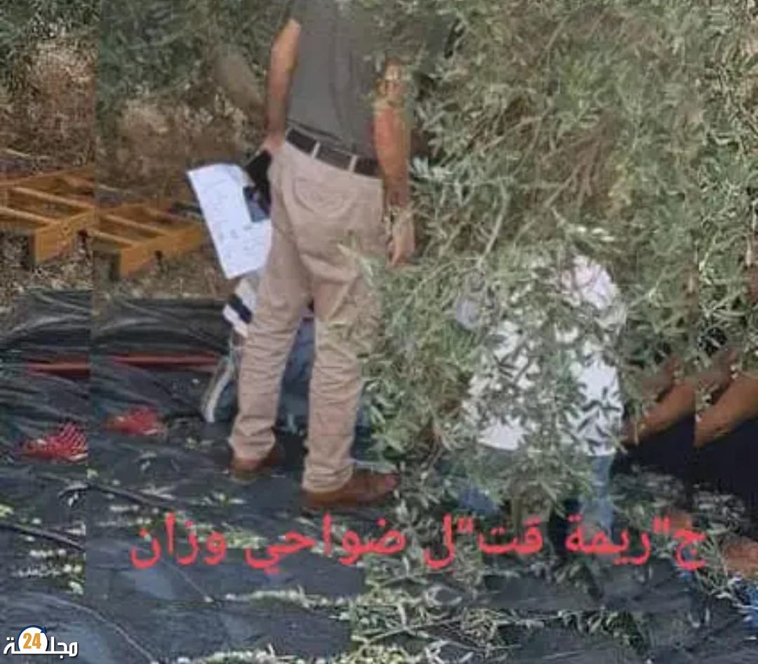 جريمة قتل مروعة ضواحي وزان على غلة الزيتون