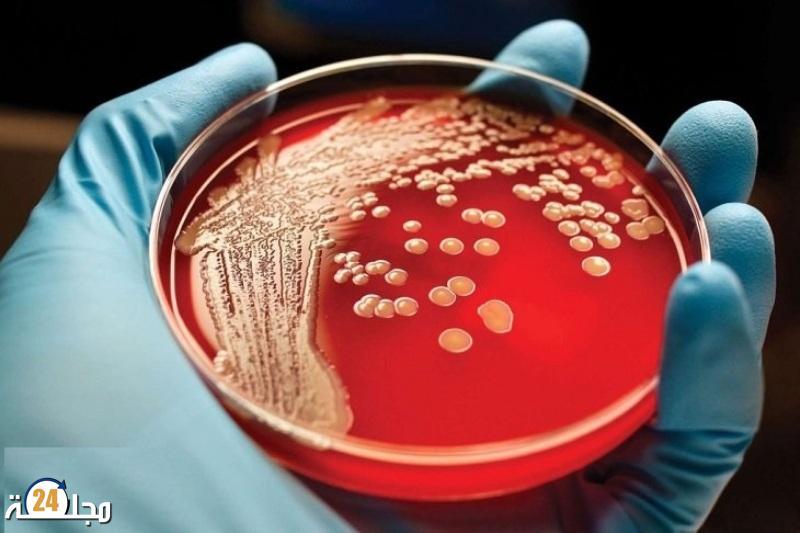 الخلايا الجذعية.. أمل للمصابين بسرطان الدم والغدد اللمفاوية