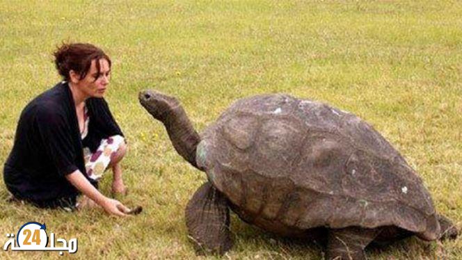 أقدم حيوان بري في العالم يحتفل بعيده الـ190