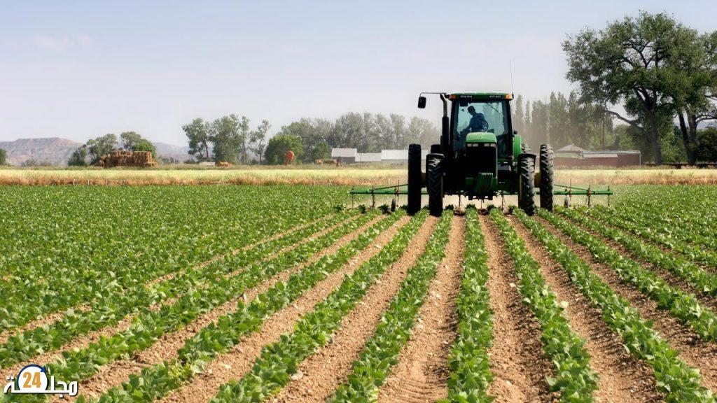 الحكومة تتوقع بداية جيدة للموسم الفلاحي بفضل الأمطار الأخيرة