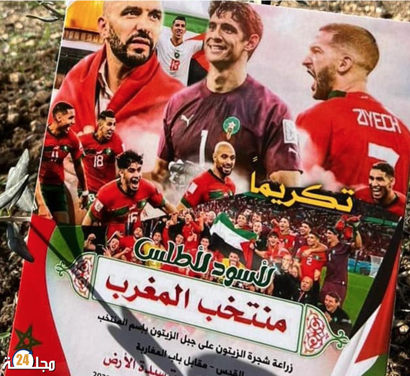 غرس شجرتي زيتون في القدس احتفاء بالمنتخب الوطني المغربي