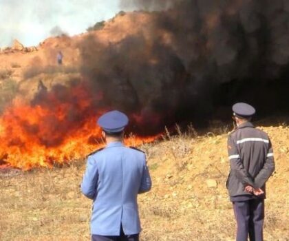 طنجة..إتلاف كميات كبيرة من الكوكايين والحشيش بقيمة 11 مليار سنتيم