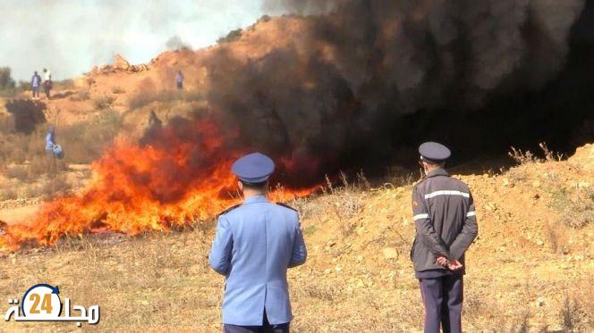 طنجة..إتلاف كميات كبيرة من الكوكايين والحشيش بقيمة 11 مليار سنتيم