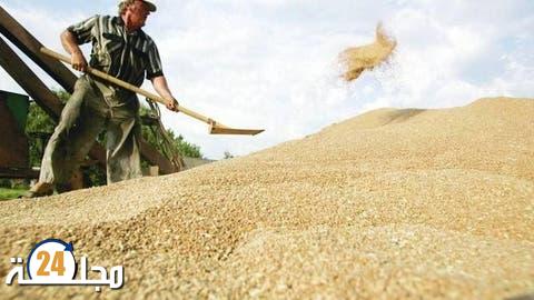 المغرب يستفيد من الانخفاض العالمي لأسعار القمح