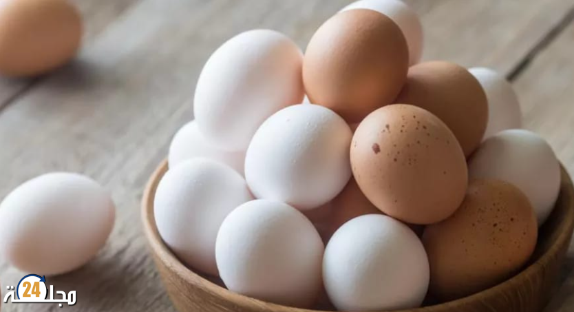 وزير الفلاحة: أسعار منتجات الدواجن ستتراجع إلى “مستويات معقولة”