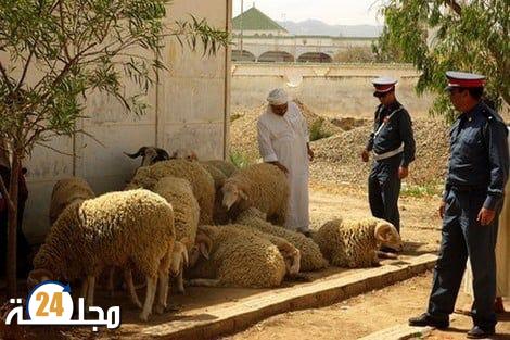 درك خنيفرة يفك لغز عصابة “الفراقشية”