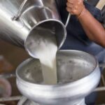 مسحوق الحليب يتسبب في أزمة للفلاحين والتعاونيات