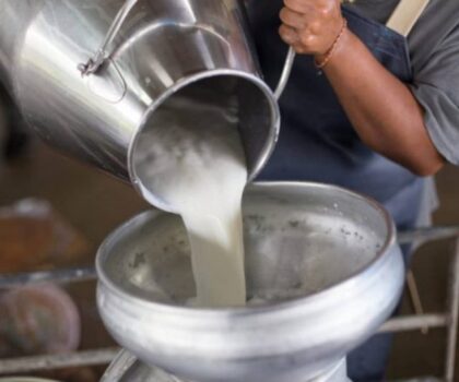 مسحوق الحليب يتسبب في أزمة للفلاحين والتعاونيات