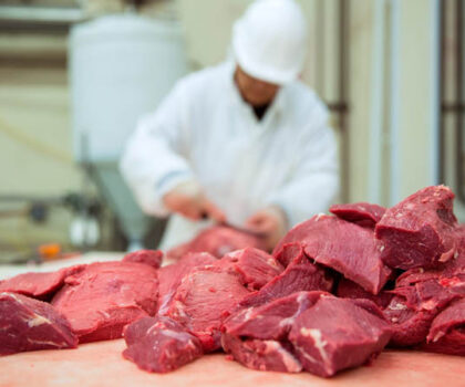 في ظل تأخر الإجراءات الحكومية.. ارتفاع أسعار اللحوم وخصاص مرتقب في رمضان