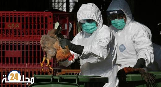 وضع مقلق.. الصحة العالمية تحذر من خطر انتشار فيروس إنفلونزا الطيور