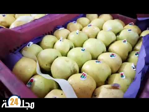 بالفيديو..بحضور باشا مدينة تطوان زيارة ميدانية لسوق الجملة للخضر والفواكه لمراقبة أسعار البيع