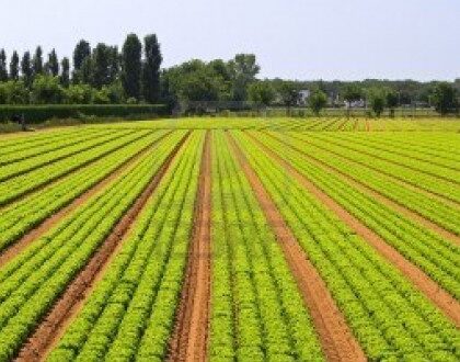 حول اليوم التواصلي والتحسيسي المتعلق بمشروع إحداث مدار سقوي بإقليم الجديدة انطلاقا من محطة تحلية مياه البحر الدار البيضاء