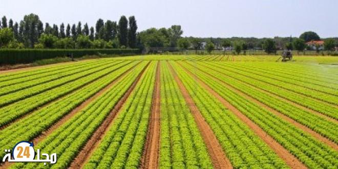 حول اليوم التواصلي والتحسيسي المتعلق بمشروع إحداث مدار سقوي بإقليم الجديدة انطلاقا من محطة تحلية مياه البحر الدار البيضاء