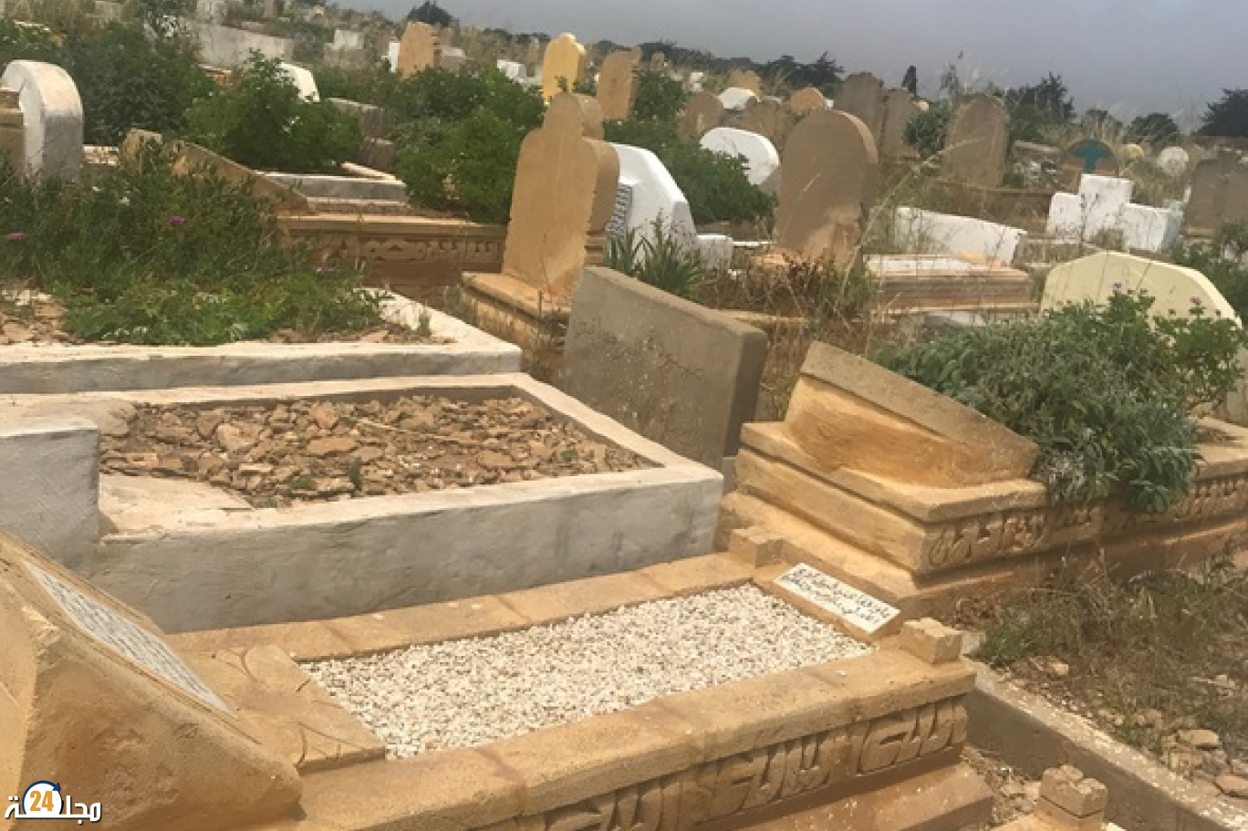 سطات.. ” شوافة ” شهيرة تقيم طقوسا شيطانية وسط مقبرة لالة ميمونة