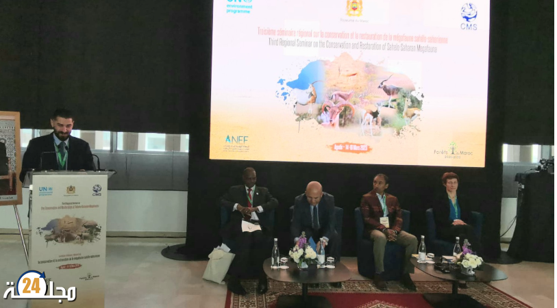 الدورة الثالثة للملتقى الاقليمي الرفيع المستوى الخاص بالمحافظة على حيوانات الساحل والصحراء ذوات الحجم الكبير بأكادير