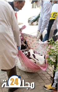 العثور على جثة ستيني بالشارع العام تستنفر مصالح الأمن بوجدة