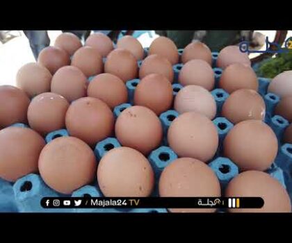 بالفيديو..بسب غلاء_الاسعار سولنا مول البيض على الرواج في هذا الشهر الفضيل…هاشنو قال ؟؟