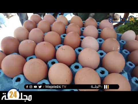 بالفيديو..بسب غلاء_الاسعار سولنا مول البيض على الرواج في هذا الشهر الفضيل…هاشنو قال ؟؟