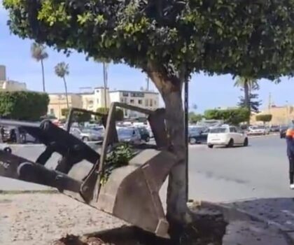 الحزب الاشتراكي الموحد بالجديدة يصدر بيانا حول الوضع البيئي المتدهور بالمدينة