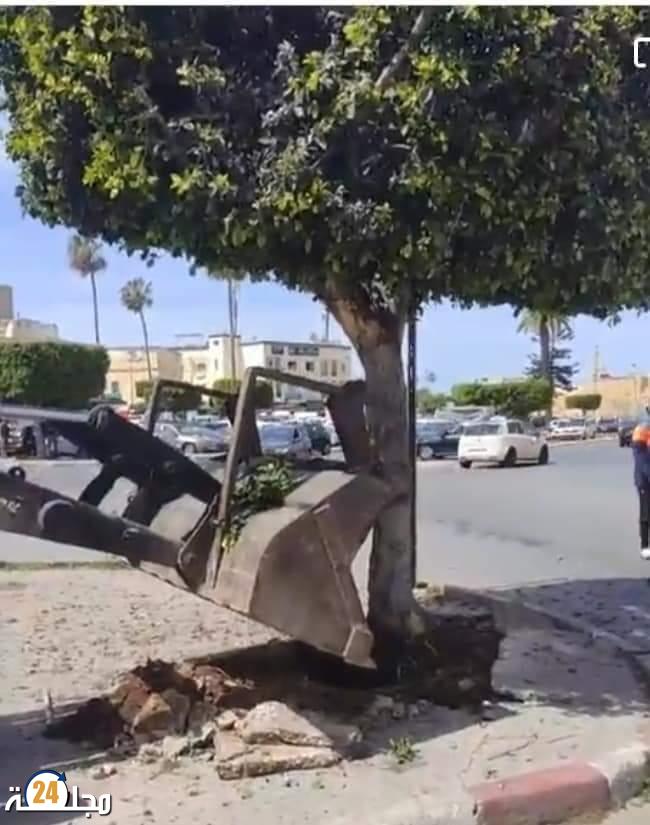 الحزب الاشتراكي الموحد بالجديدة يصدر بيانا حول الوضع البيئي المتدهور بالمدينة