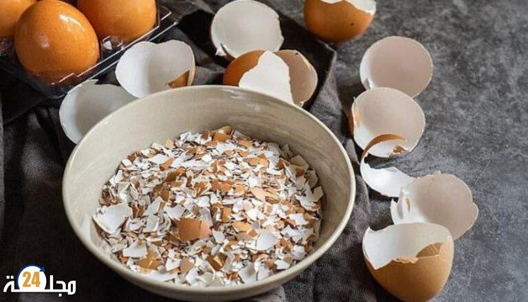 تقنية طبية واعدة.. علاج العظام ممكن بقشور البيض