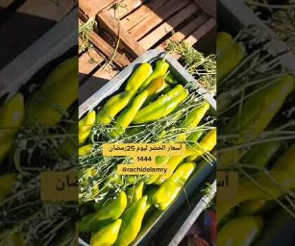 بالفيديو..الأسعار ديال الخضروات ليوم 25 رمضان