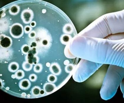 اكتشاف بكتيريا مقاومة للمضادات الحيوية