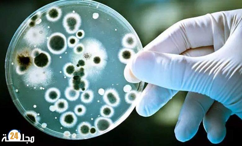 اكتشاف بكتيريا مقاومة للمضادات الحيوية