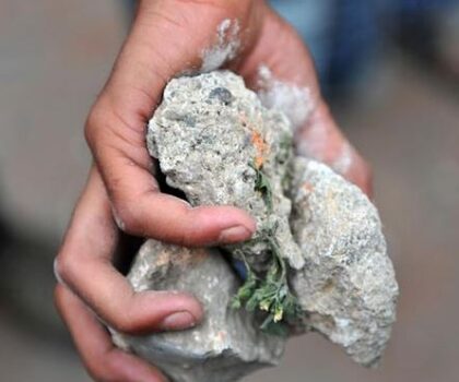 مشرع بن عبو ضواحي سطات..توقيفات بالجملة في صفوف تلاميذ بسبب أعمال إجرامية أدت لوفاة أحدهم