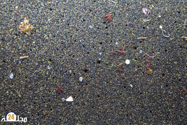 جزيئات البلاستيك في الهواء “أعداء” الخصوبة