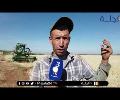 بالفيديو..من بني ملال ….انطلاق موسم الحصاد وسط مخاوف من المردودية