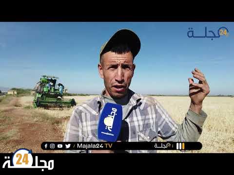 بالفيديو..من بني ملال ….انطلاق موسم الحصاد وسط مخاوف من المردودية