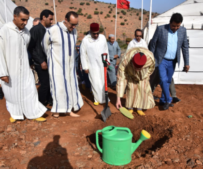 غرس الصبار المقاوم للحشرة القرمزية