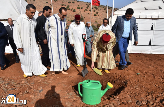 غرس الصبار المقاوم للحشرة القرمزية