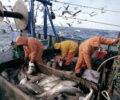 إجراءات جديدة تخص الصيد البحري بجهة الداخلة وادي الذهب