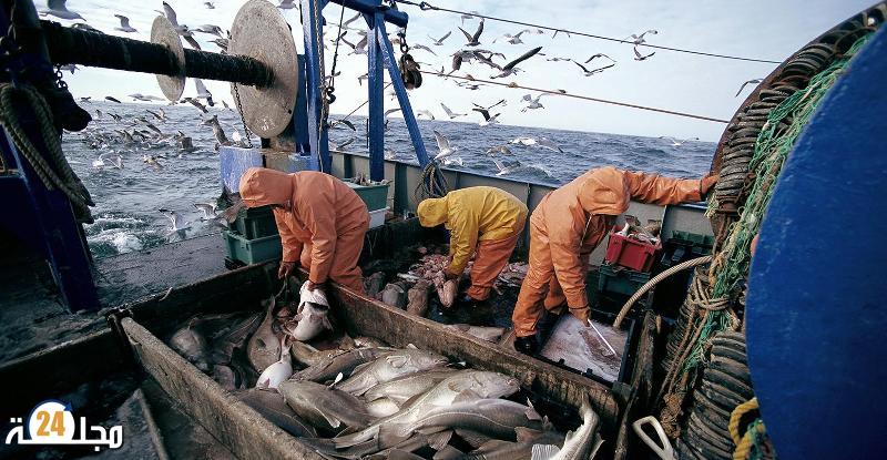 إجراءات جديدة تخص الصيد البحري بجهة الداخلة وادي الذهب