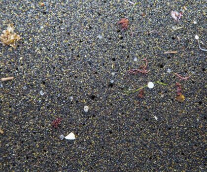 جزيئات البلاستيك في الهواء “أعداء” الخصوبة