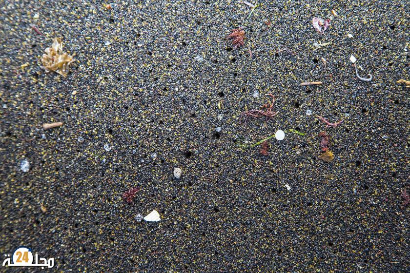 جزيئات البلاستيك في الهواء “أعداء” الخصوبة