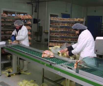 مزور: 400 مشروع ستتيح إمكانية خلق 50 ألف منصب شغل على مدى ثلاث سنوات