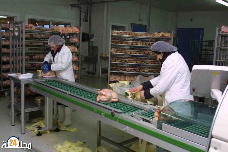 مزور: 400 مشروع ستتيح إمكانية خلق 50 ألف منصب شغل على مدى ثلاث سنوات