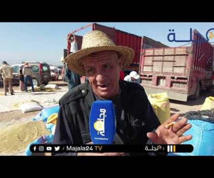 بالفيديو..مع موسم الحصاد أجي تشوف القمح شحال وصل الثمن ديالو