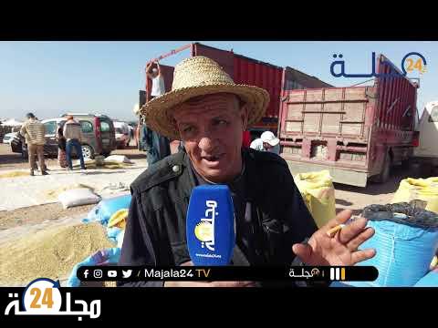 بالفيديو..مع موسم الحصاد أجي تشوف القمح شحال وصل الثمن ديالو