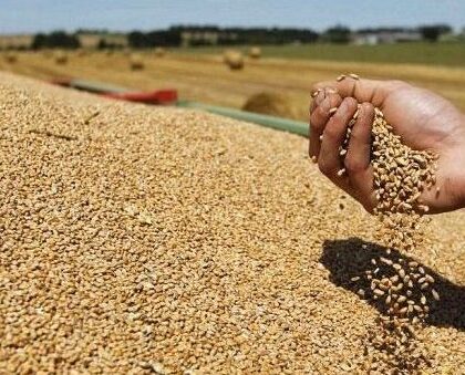 اليعقوبي يعلق على منحة استيراد 25 مليون قنطارا من القمح اللين
