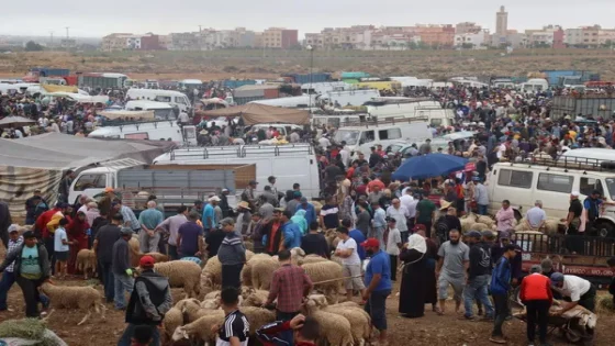 سطات..سرقة مبلغ مالي من سيارة بالسوق الاسبوعي يثير تساؤلات حول مسألة الأمن