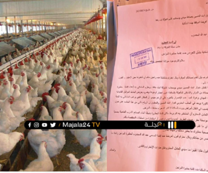 “حاضرة الدواجين” تغضب ساكنة دواوير سيدي بوسحاب